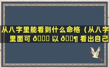 从八字里能看到什么命格（从八字里面可 🐛 以 🐶 看出自己是什么命）